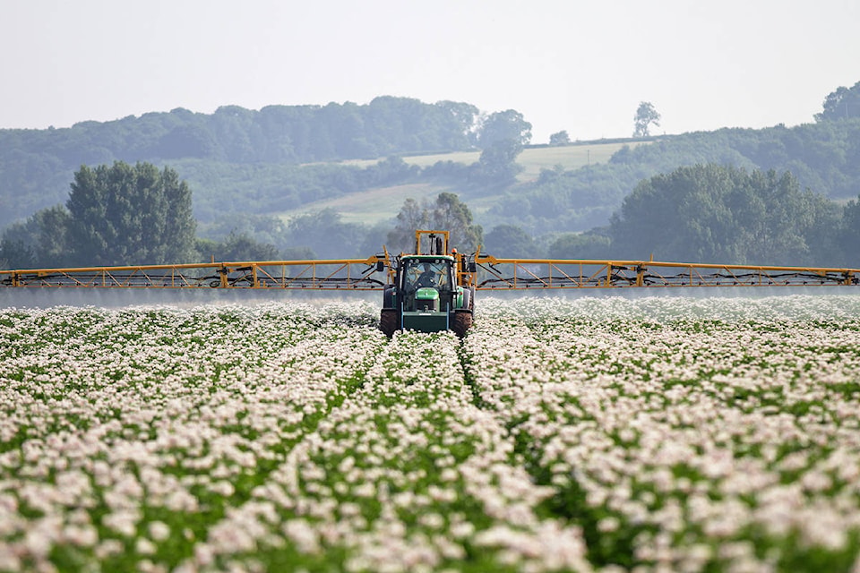 24272484_web1_210212-AHO-PotatoBlight-farm_1