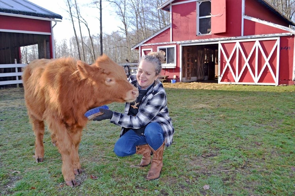 Six-month-old Peanut enjoys a neck-brushing from Kindred Community Farm Sanctuary founder Keryn Denroche. (Tracy Holmes photo)