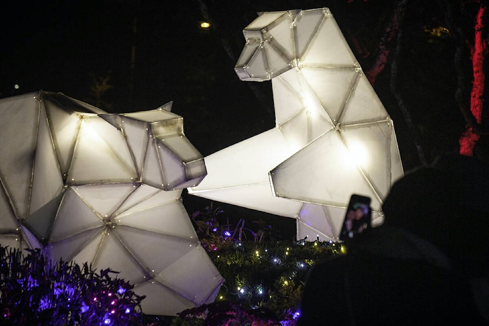 Surrey’s free Bear Creek Park Lights event returns with limited, pre