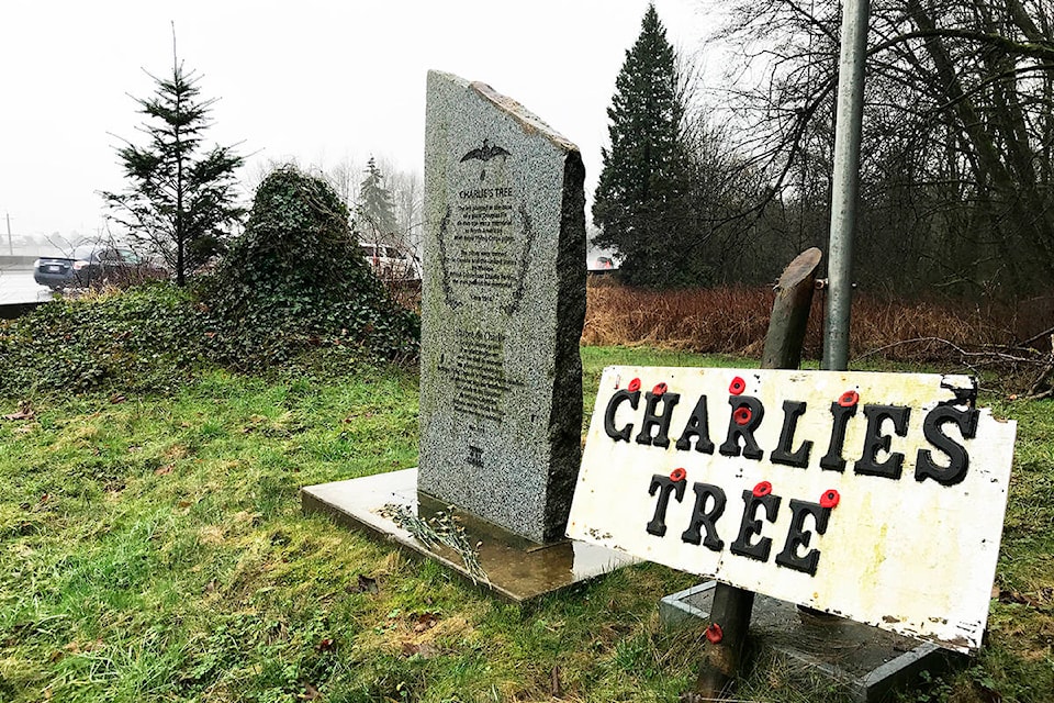 24479436_web1_210318-SUL-NowThenCharlieTree-main_1