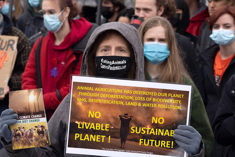 28588881_web1_220325-CPW-Climate-protests-across-Canada-Quebec_1