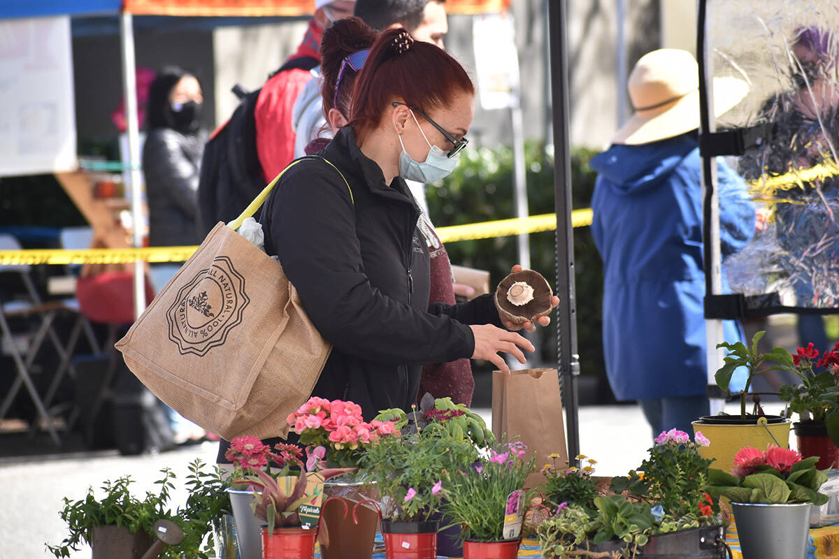 28766159_web1_210506-PAN-photos-FarmersMarket_11