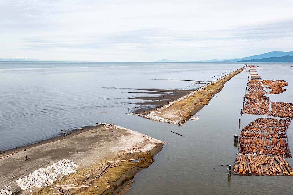 A new 30-metre wide opening in the Fraser River’s North Arm Jetty allows juvenile Chinook salmon to reach a vital estuary for the first time in more than 100 years. (Photo by Alex Harris/Raincoast Conservation Foundation)