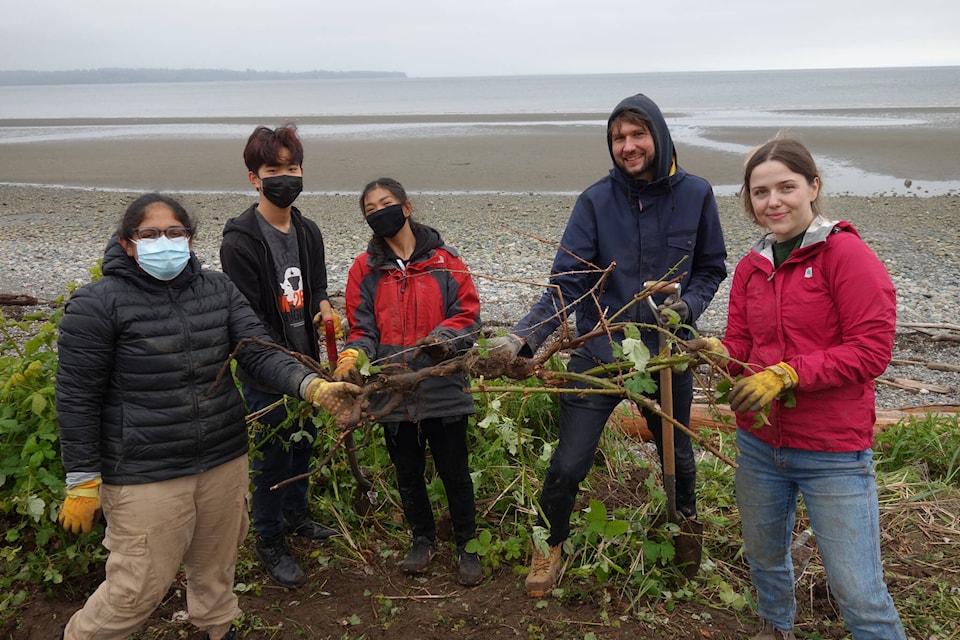 The Lower Mainland Green Team, joined by more than two dozen community volunteers, removed six cubic metres from White Rock’s West Beach on May 14, 2022. (Contributed photo)