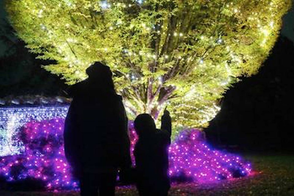 SURREY EVENTS Bear Creek Lights, ‘Sleeping Beauty’ panto, craft fairs