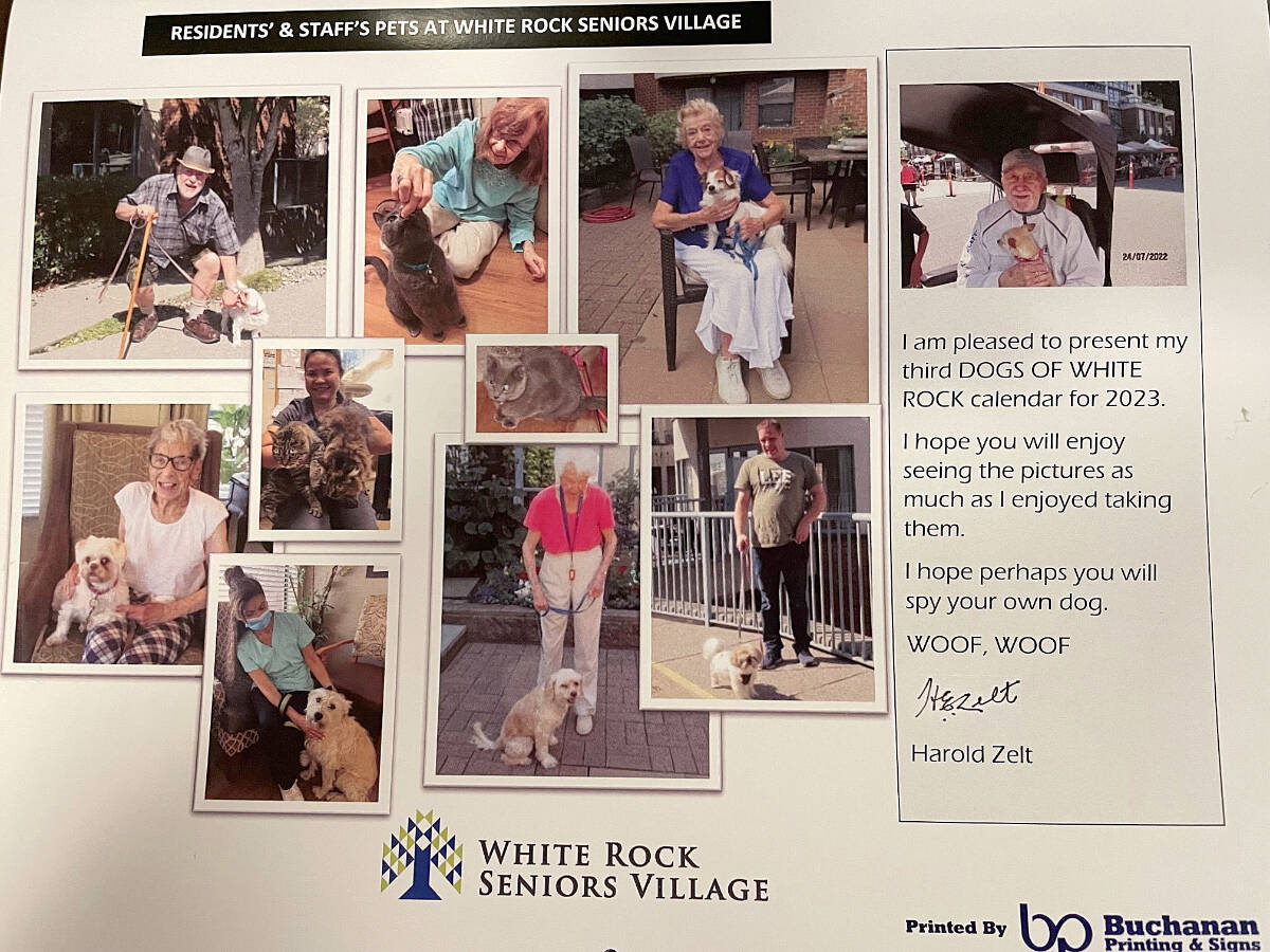 Senior releases third Dogs of White Rock calendar Surrey NowLeader
