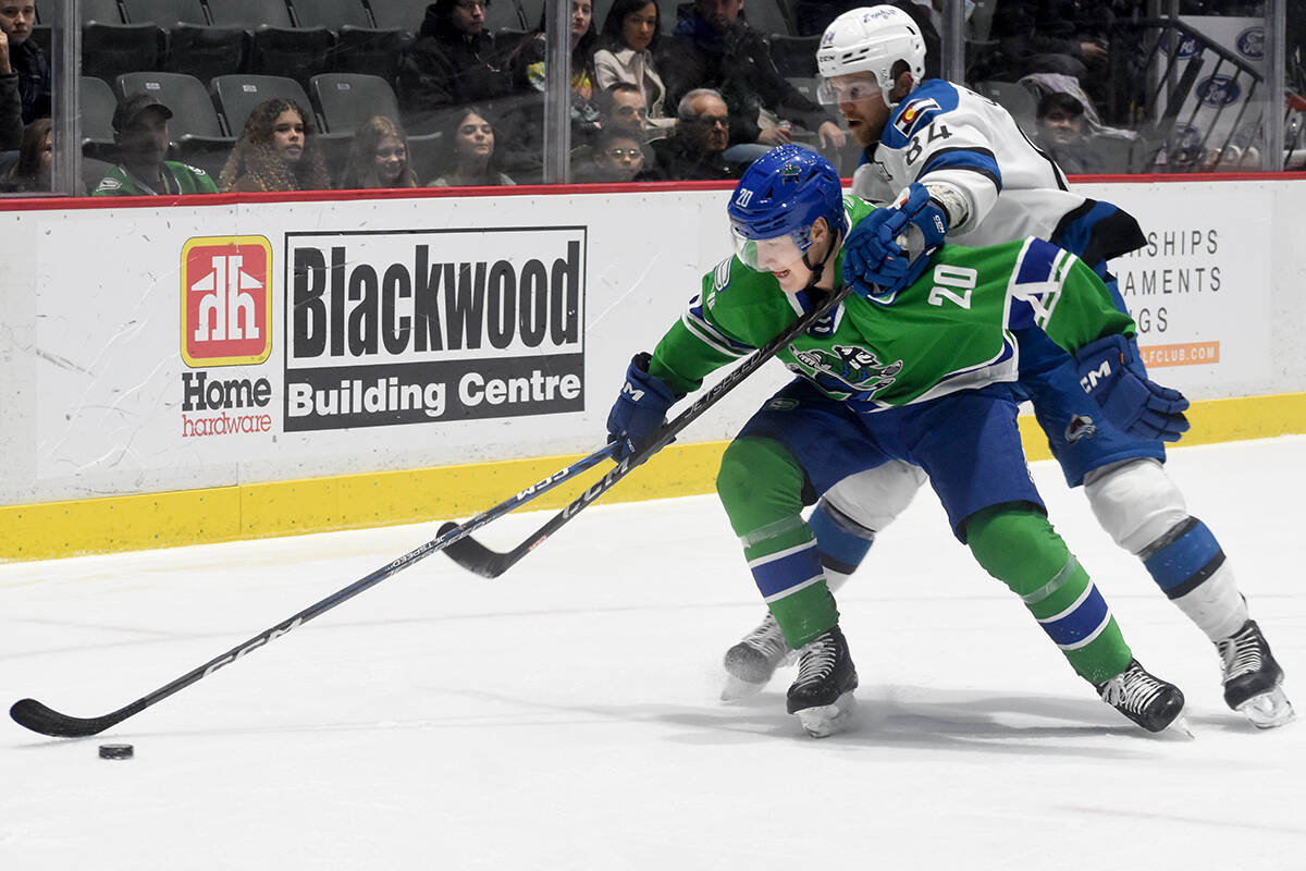 Abbotsford Canucks earn 3-2 overtime win over Manitoba Moose - Surrey  Now-Leader