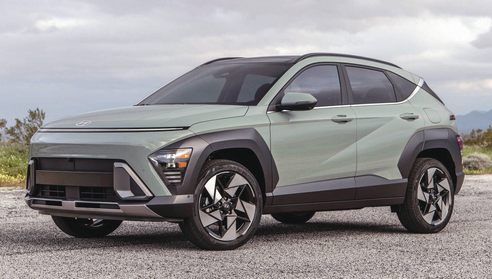The Hyundai Kona will be available with a choice of two different internal-combustion engines or battery power (two capacities). PHOTO: HYUNDAI