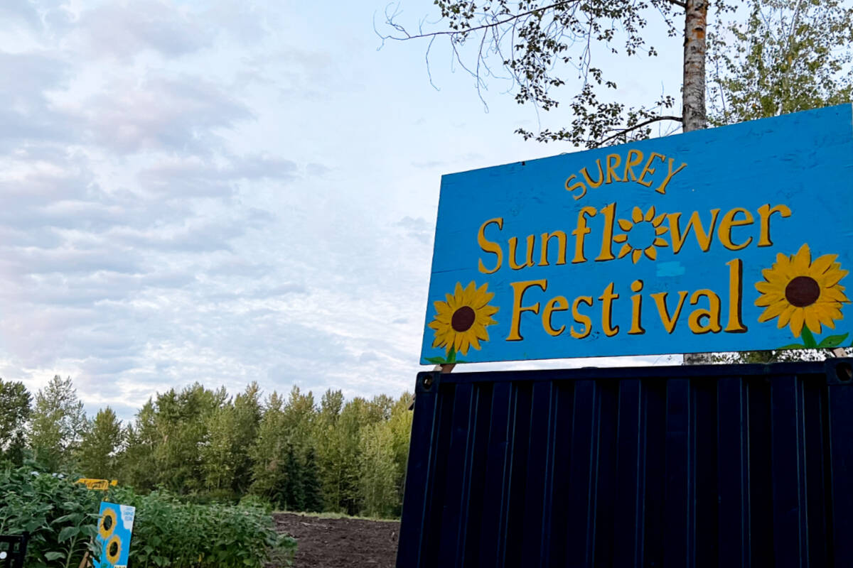 Running right through August to Sept. 3, dont miss the Surrey Sunflower Festival!