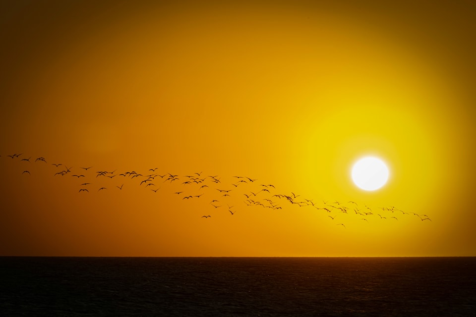 alfonso-betancourt-y4jec82ifzi-unsplash