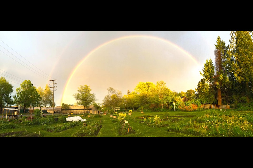 Rainbow over PLOT Sharing Garden in Newton, behind Newton Arena at the corner of 71 Avenue and 137A Street in Surrey.