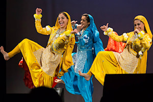 '20 Years of South Asian Arts' in photos at Surrey Art Gallery