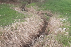 Surrey streamside protection policy amendments get council nod