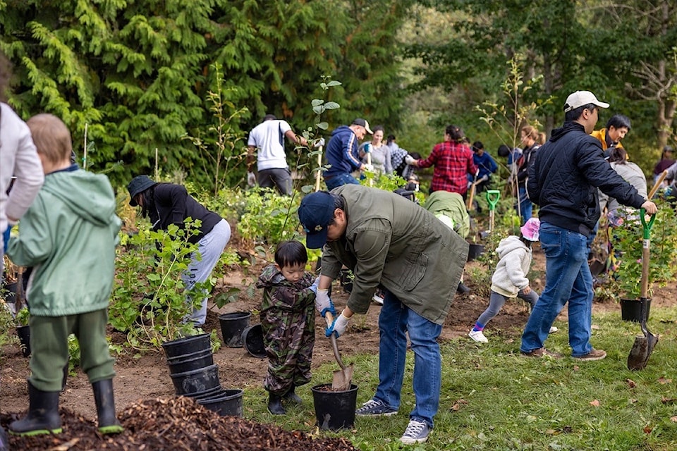 241001-snw-m-thumbnail_our-city_tree-planting_hawthorne-rotary-park-copy