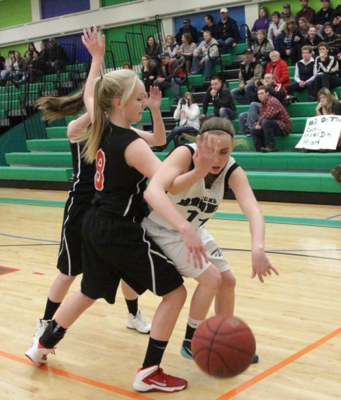 81059sylvanlakeBBall031215