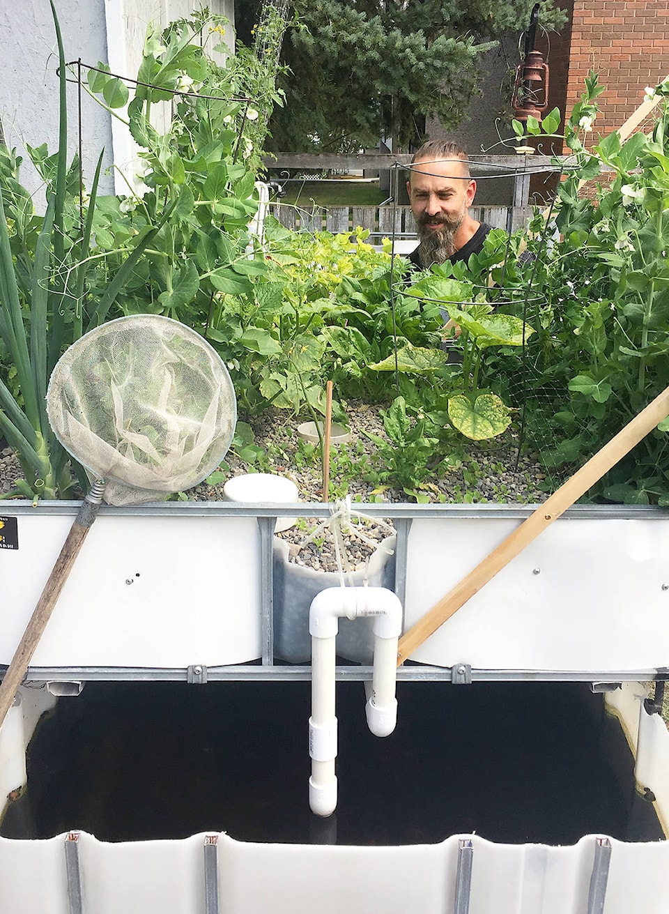 8042097_web1_170809-PON-aquaponics_2