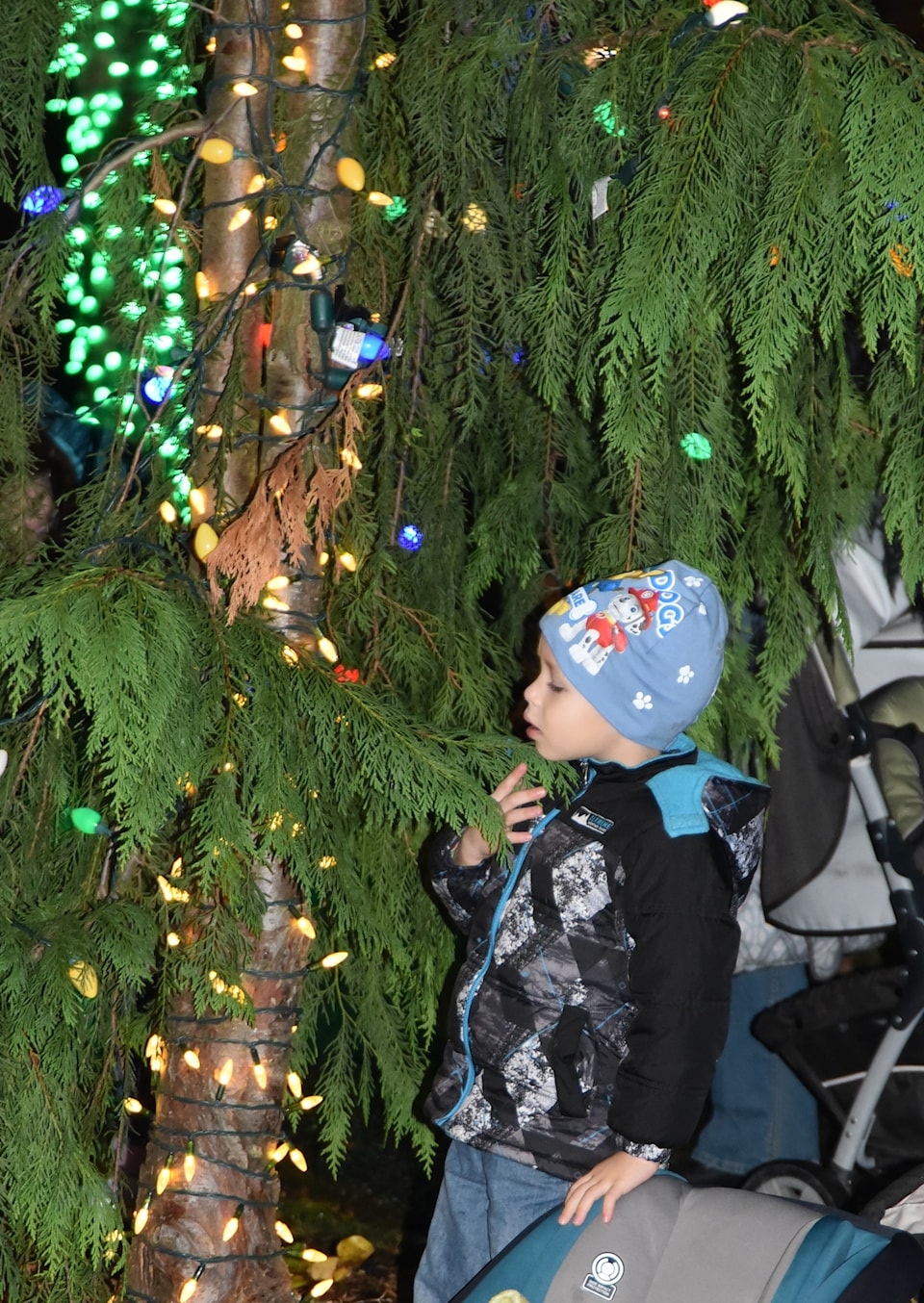 9245152_web1_161130-SVR-Snoqualmie-boy-in-tree