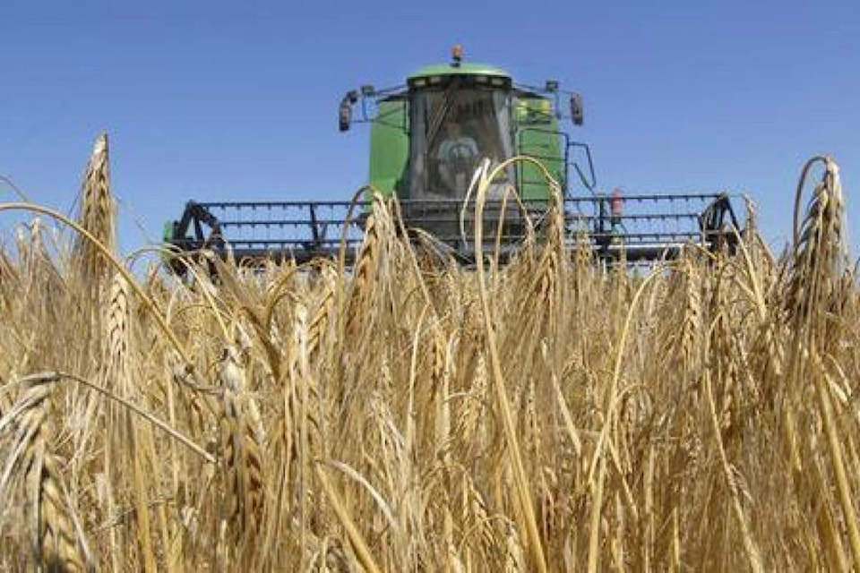 13148441_web1_180315-RDA-Strong-harvest-and-currency-rates-linked-to-farmers-buying-more-new-machinery_1