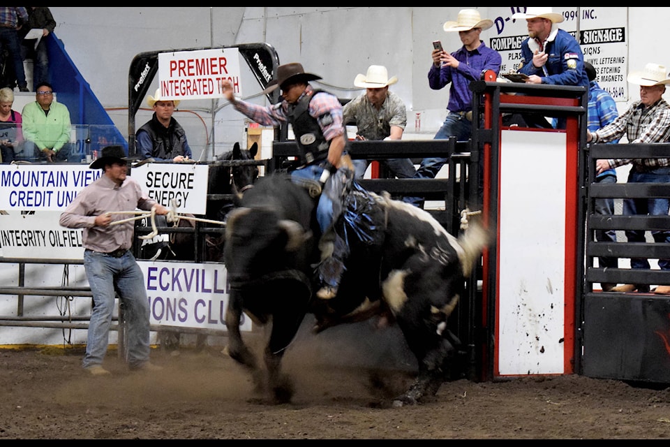 Brazil’s Marcos Gloria was the first bull rider to put up a score at Eckville’s annual Bull-Arena May 3. Gloria scored an 80.5 for his eight second ride on the back of Private Ryan. Photo by Kaylyn Whibbs/Eckville Echo