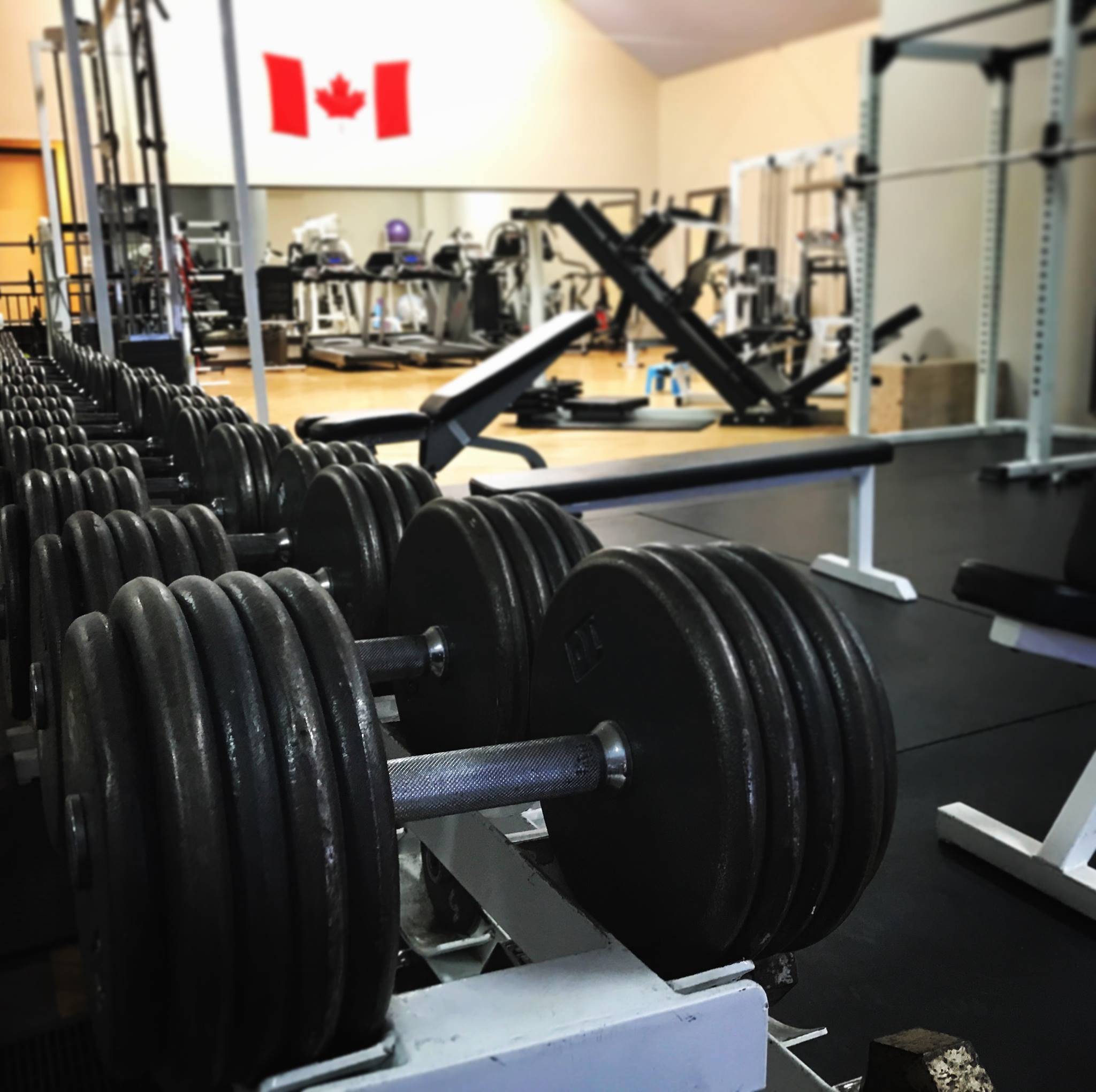 Bashaw businesses ready to battle government over restrictions Sylvan