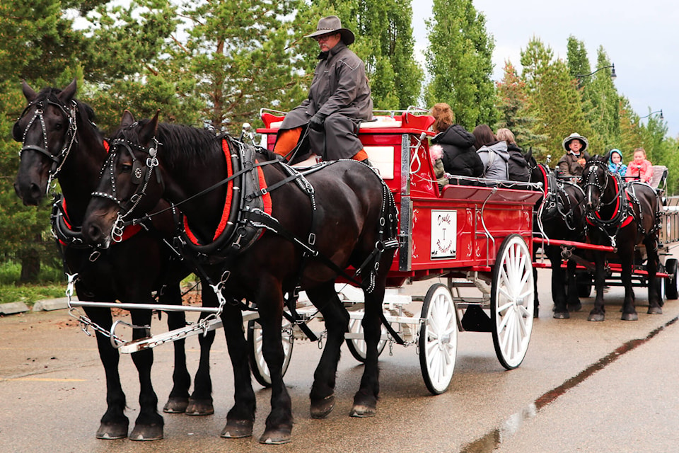 Double T Percherons owner Kevin Graham offered horse and carriage rides around town on June 12. Janaia Hutzal / Sylvan Lake News