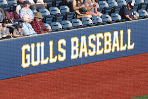 Sylvan Lake Gulls to take part in Rural Roots Baseball Classic