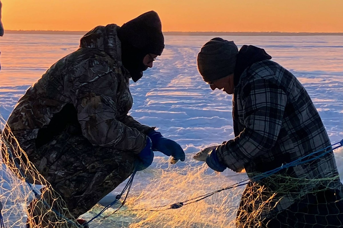 Metis Nation of Alberta releases fish health report on Pigeon Lake and