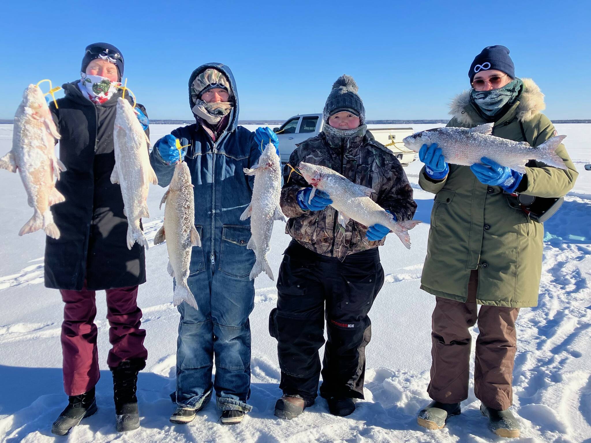 Metis Nation of Alberta releases fish health report on Pigeon Lake