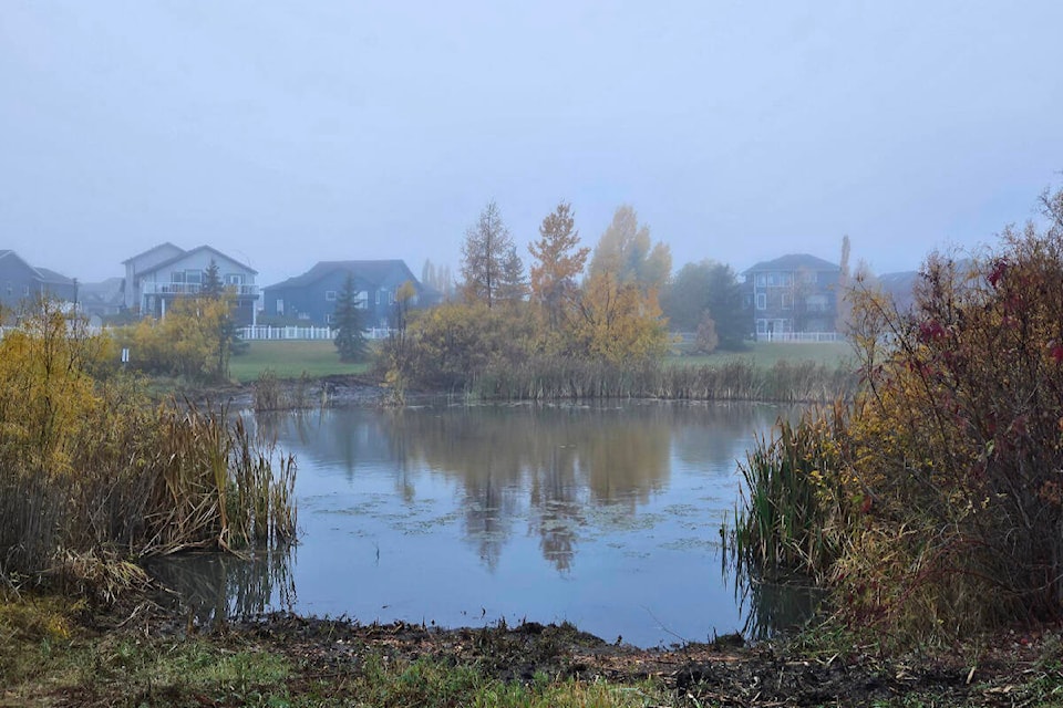 34306618_web1_231026_SLN_Lakeway-Landing-Storm-Lakeway-Landing-Storm-Pond_1