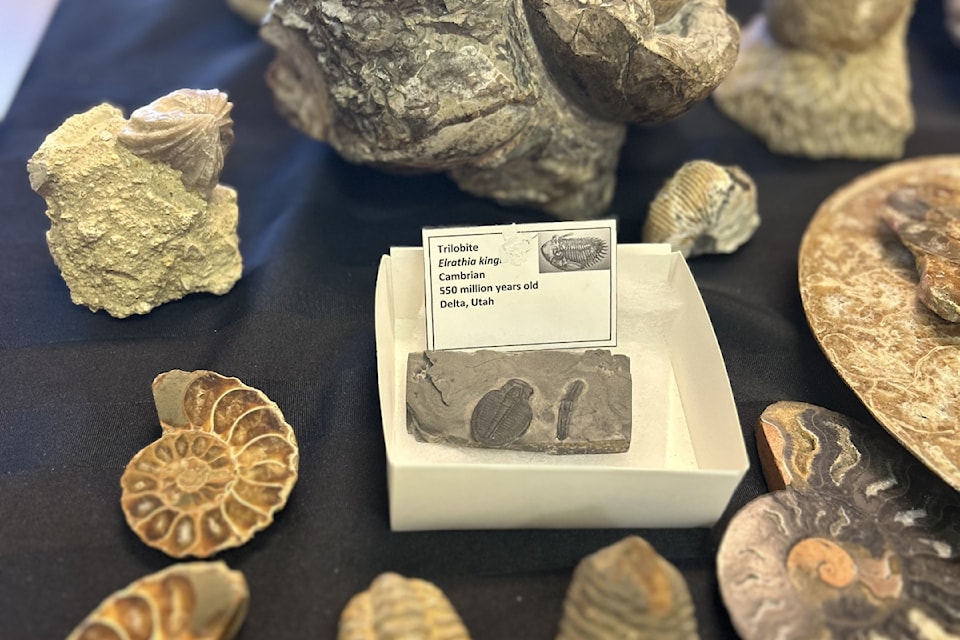 The Sylvan Lake Municipal Library held a prehistoric-themed event on Aug. 25. 