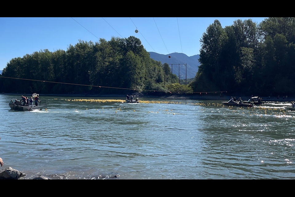 Boat-going Rotarians close in on the myriad of ducks floating down the Skeena River during the Aug. 5, 2024 Rotarian duck race.