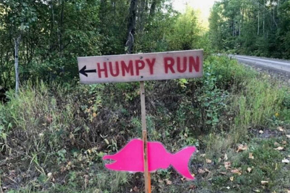 humpy-run