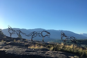 Safety improvements coming to Wolfpack Trail