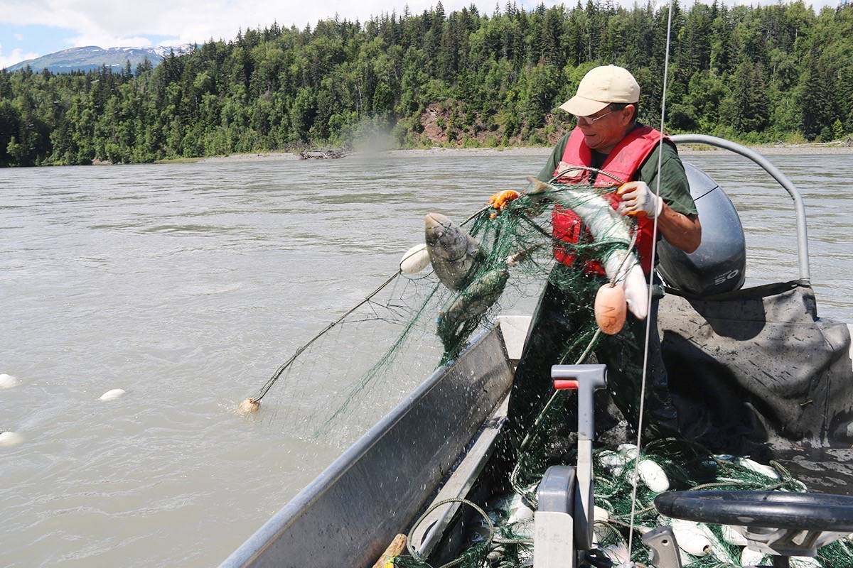 Nass salmon returns looking dismal