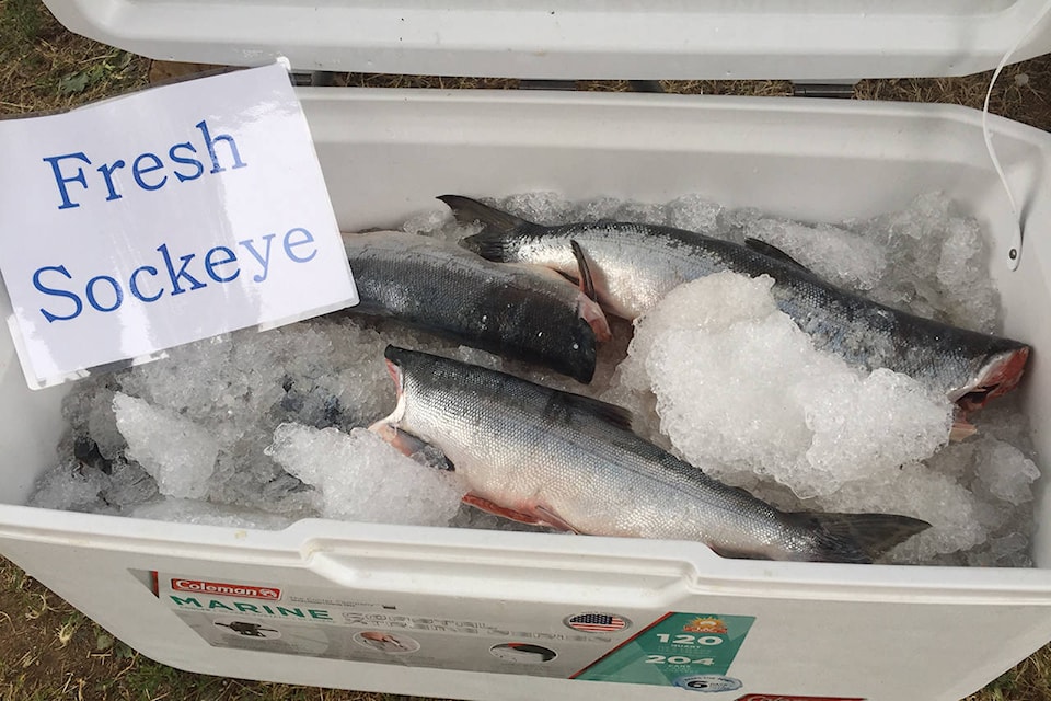 8070361_web1_FreshSockeye