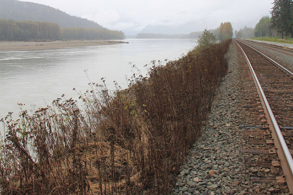 8949749_web1_WEB.CN-sprayed-right-along-Skeena-River