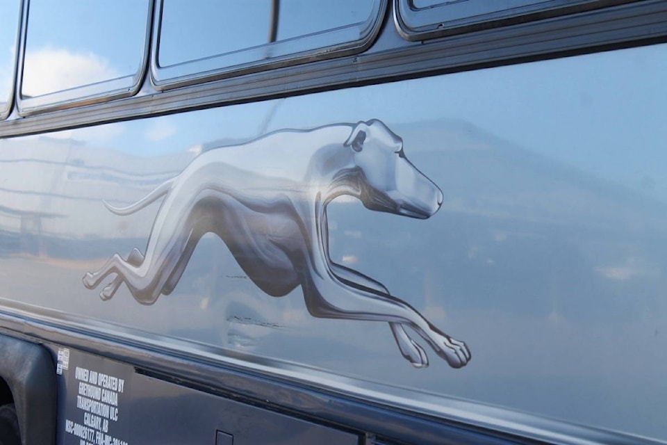 9779719_web1_8497461_web1_170913-HTO-Greyhound_2