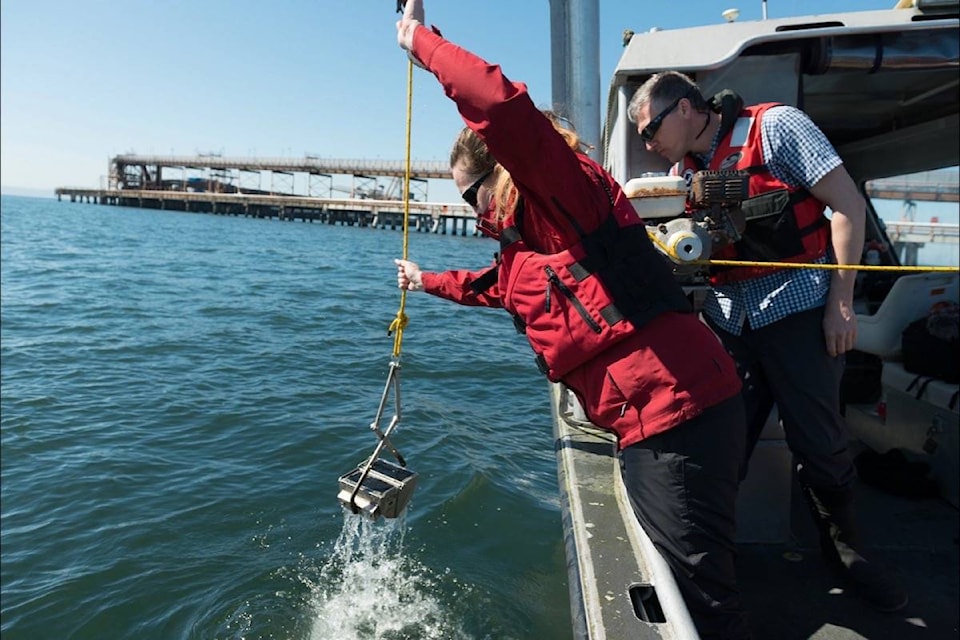 10547713_web1_180208-BPD-M-2016-04-01-Pollution-Tracker-Tsawwassen-Sediment-Collection-0624