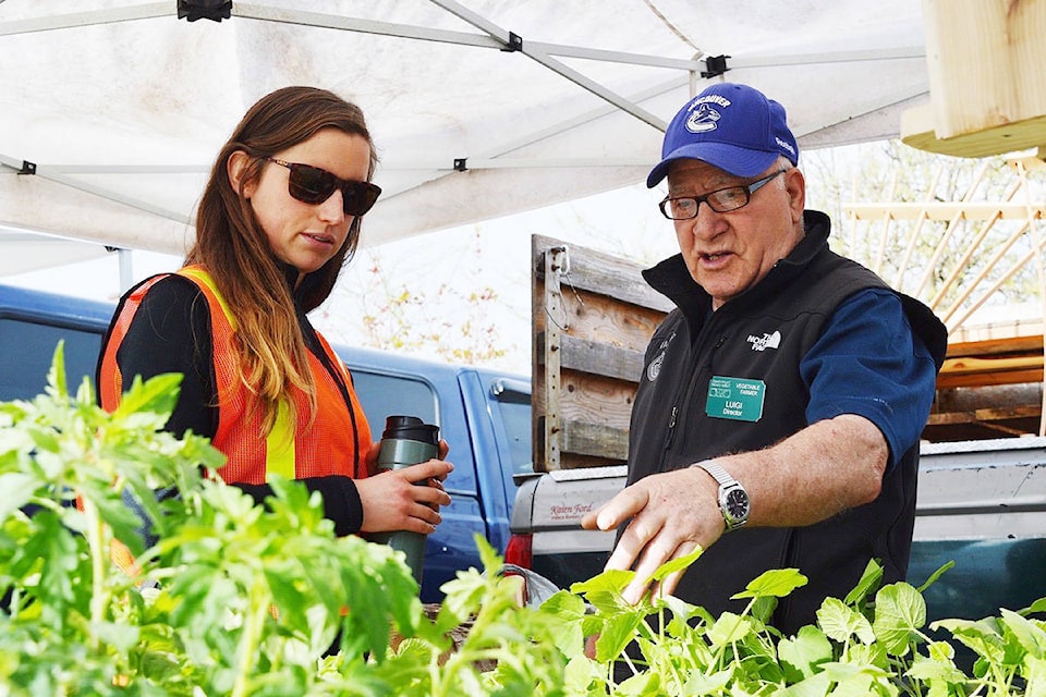 11757172_web1_180505-TST-M-Farmers-market-5