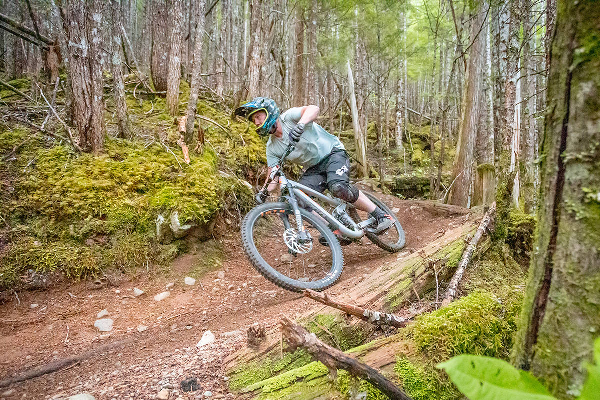 Busier than we ve ever seen Mountain biking around Terrace jumps Terrace Standard