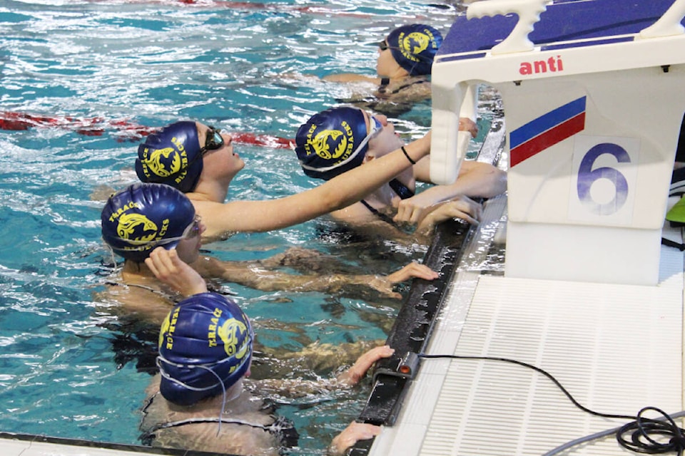 31765904_web1_230209-PRU-NSE-TST-PHOTOS-terrace-swim-meet-swimming_1