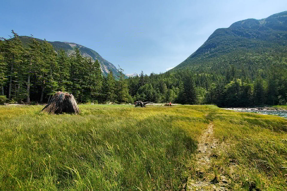 33430836_web1_230727-WLT-GreatBearRainforest-FirstNations_1