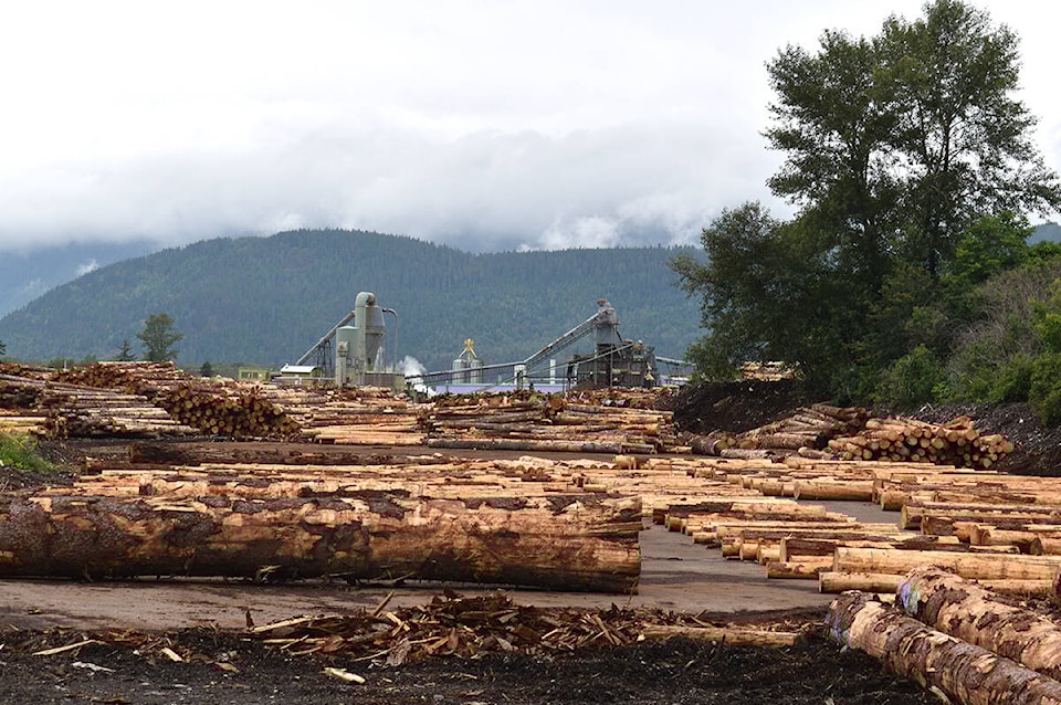 33899678_web1_200924-TST-forestry-regs-change-sawmill_1