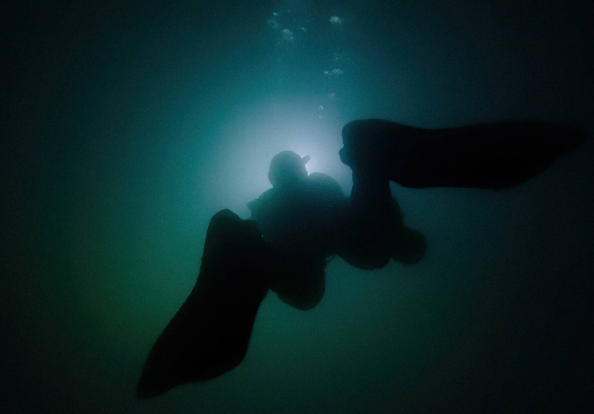 ‘Subterranean’ Film documents B.C. researchers’ dive into Canada’s