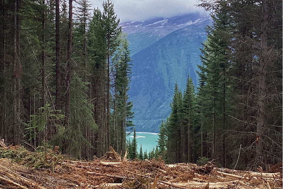 241217-bpd-audit-valemount-forest