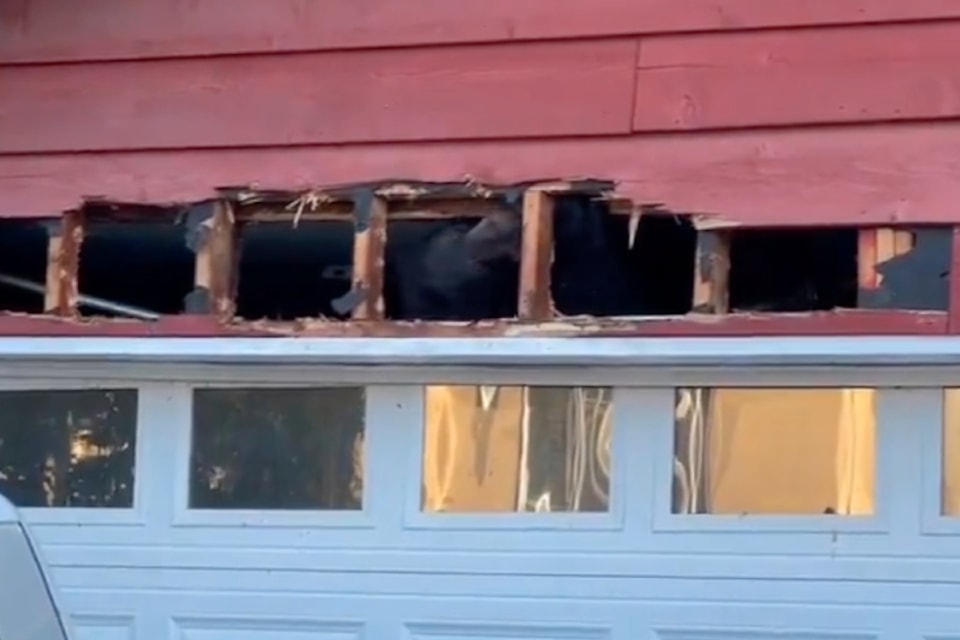 coquitlamrcmp-bear-garage
