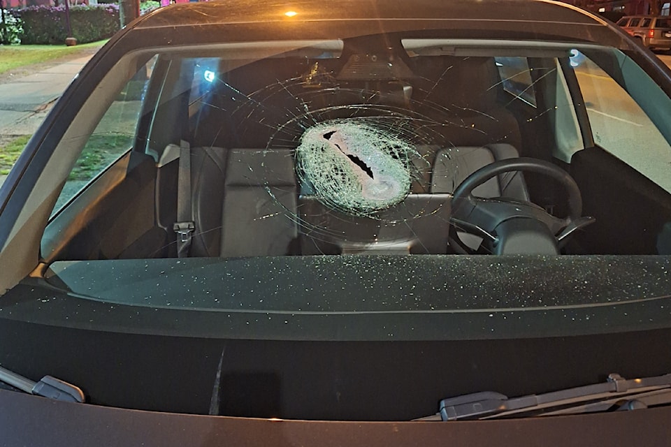 250404-bpd-vpd-tesla-window-smash