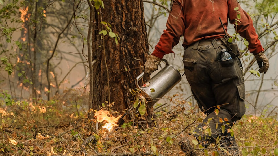 firefighter-ignition-prescribed-fire-sitepartners