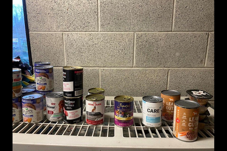 BCSPCA facing increased supply demand amidst donation shortages 