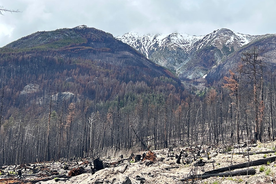 250513-bpd-investigation-gunlake-wildfire2
